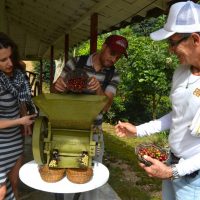 Medellin coffe tour