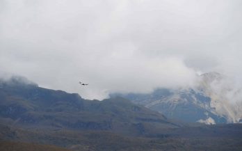 bird flying in mountains