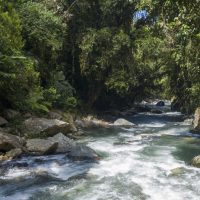 River near medellin melcocho beach