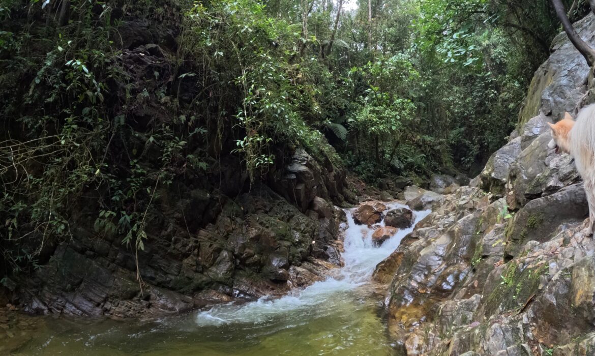 Hiking Chorro Campanas