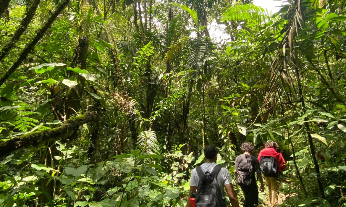 Hiking Chorro Campanas