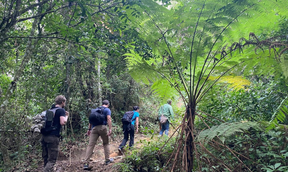 Cerro Kennedy Treking