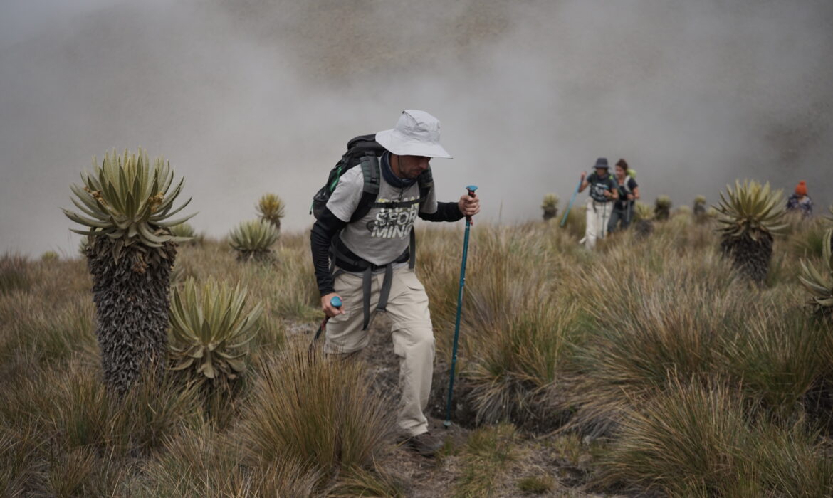 Cerro Chispas