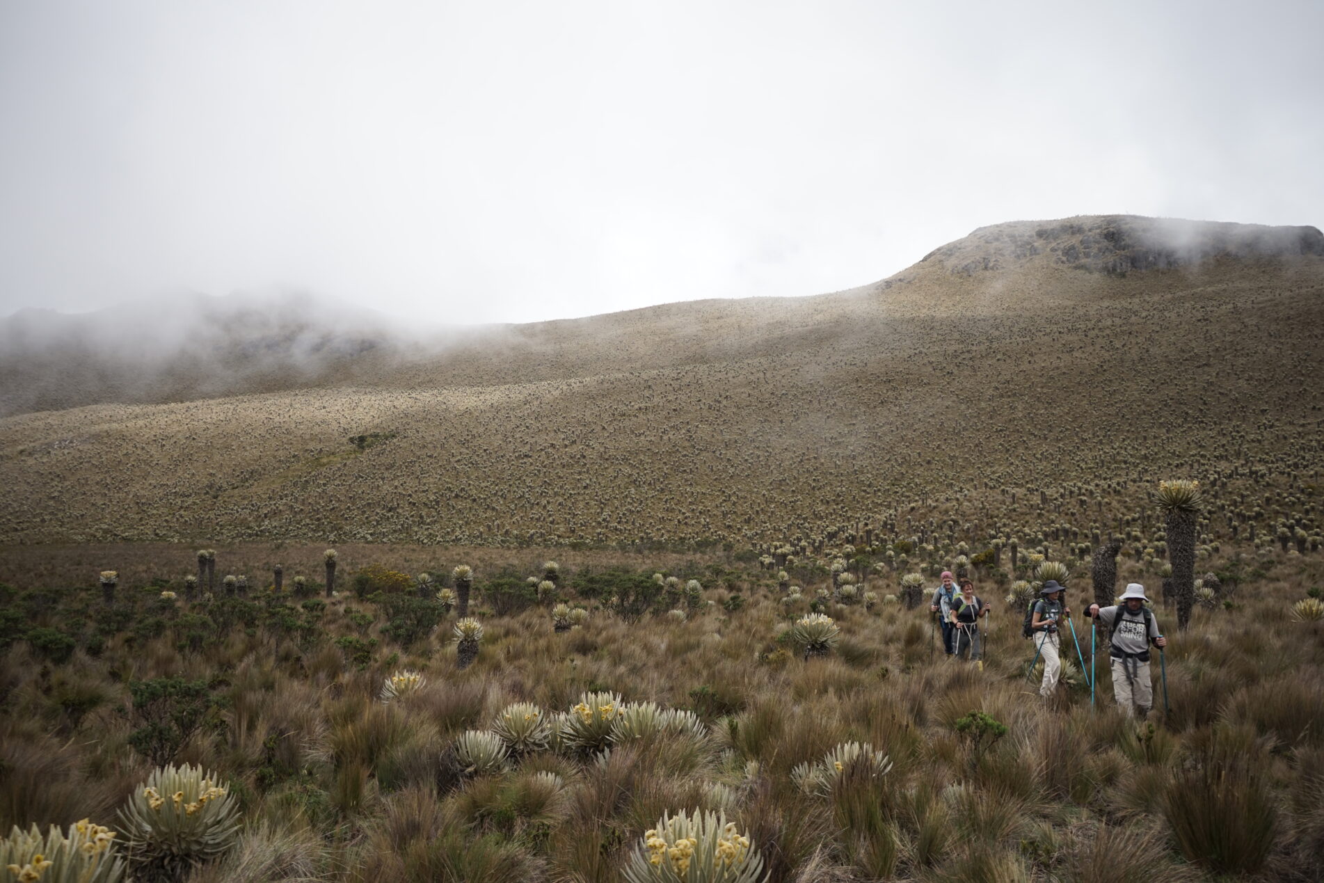 Cerro Chispas1