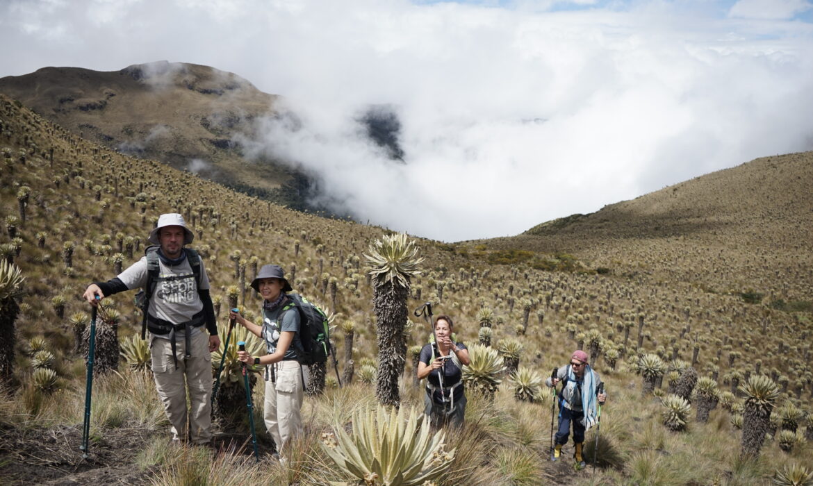 Cerro Chispas2