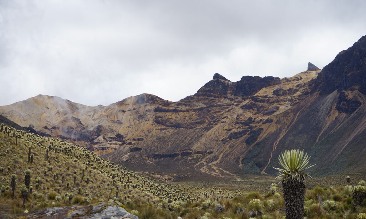 Cerro Chispas3