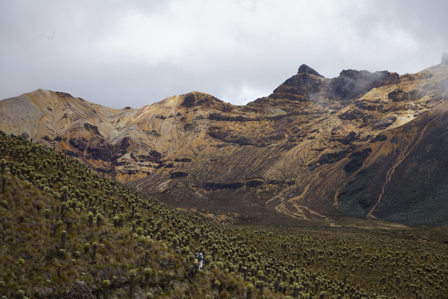 Cerro Chispas5