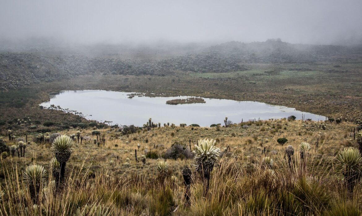 Hikers in the Páramo Ecosystem