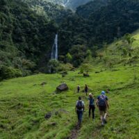 Group trekking through jungle trail in Colombia