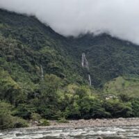 Lush tropical flora along the trail near El Carmen de Viboral