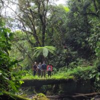 Trekking group hike near El Carmen de Viboral