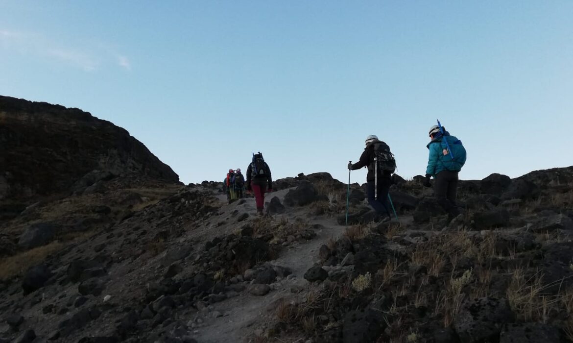 Early morning fog covering the forest before the summit ascent