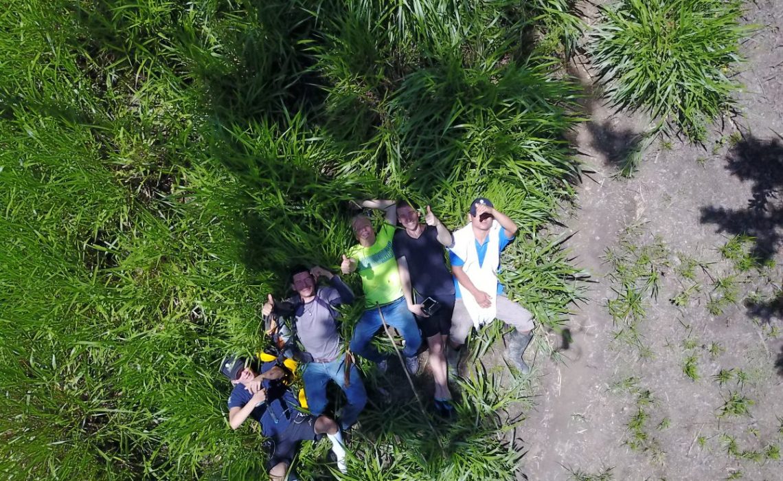 5 men relaxing in grass