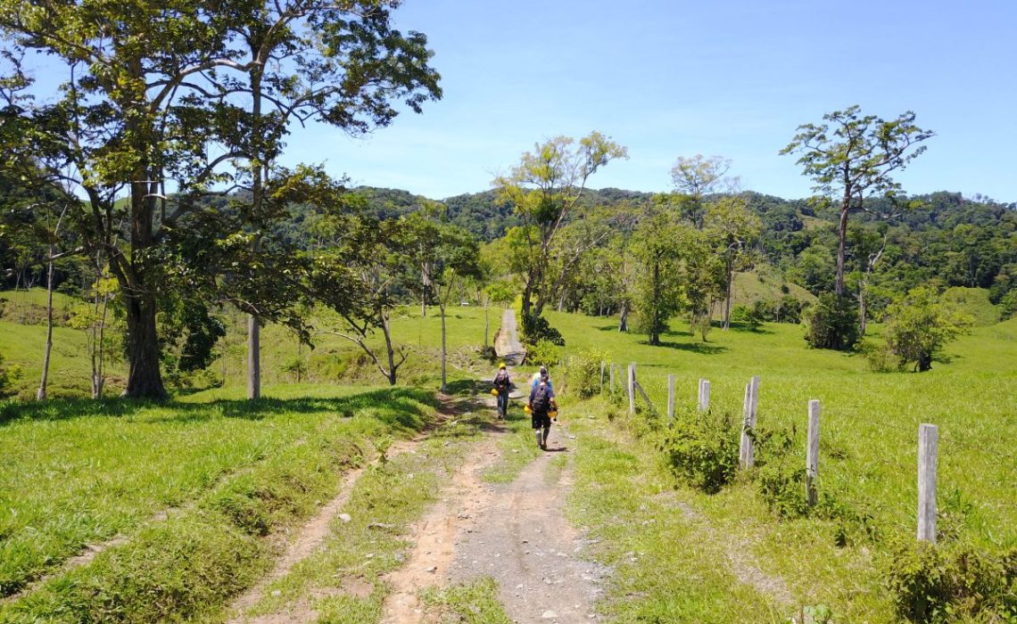 sunny day dirt road hikers