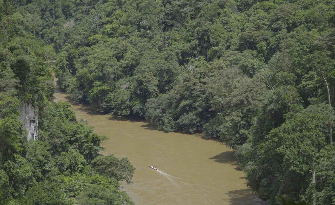 aerial view of the river