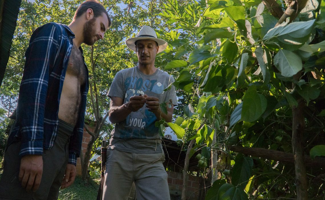 cacao tour medellin