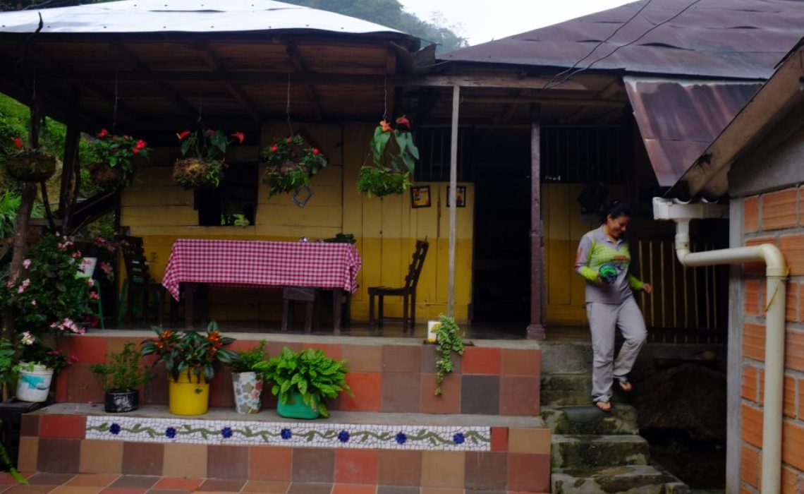 house accommodation jungle trek