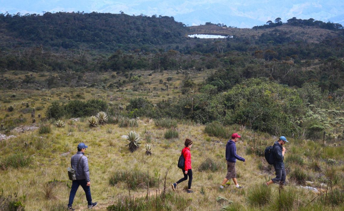 group walking trekking paramo