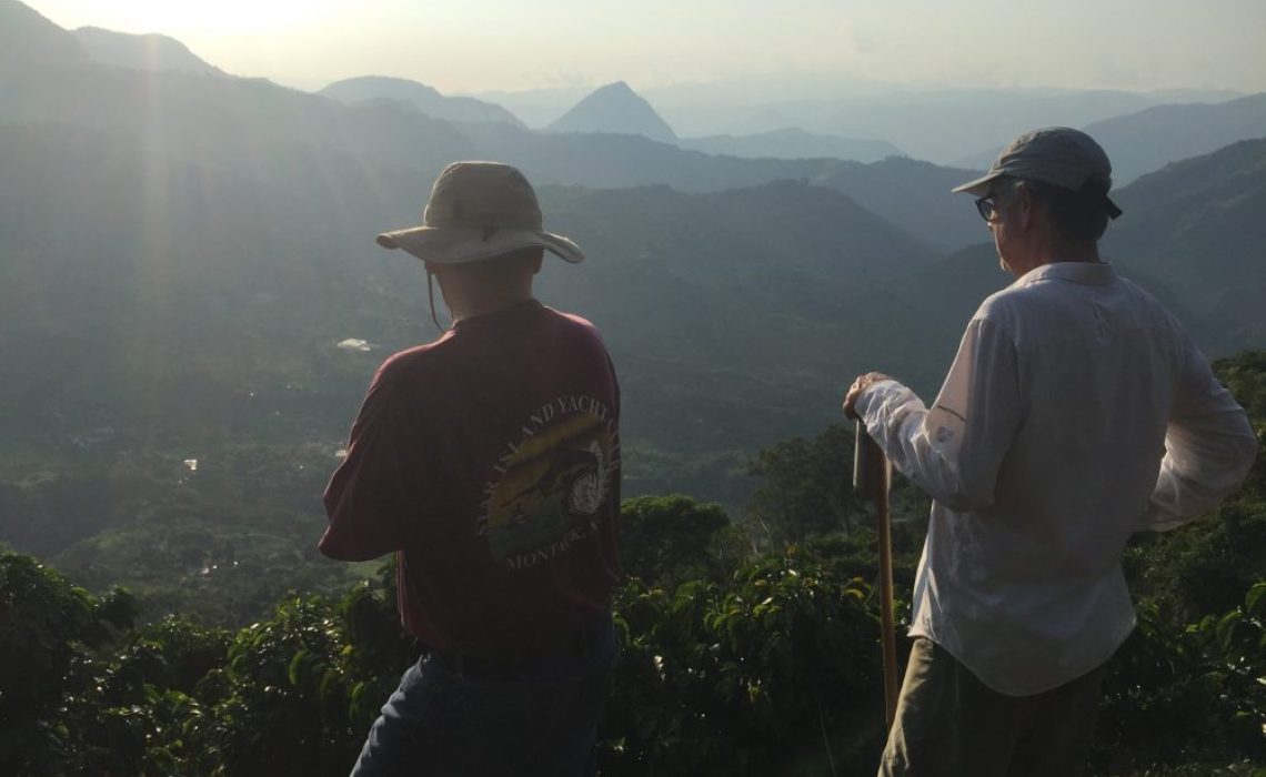 coffee farm mountains antioquia