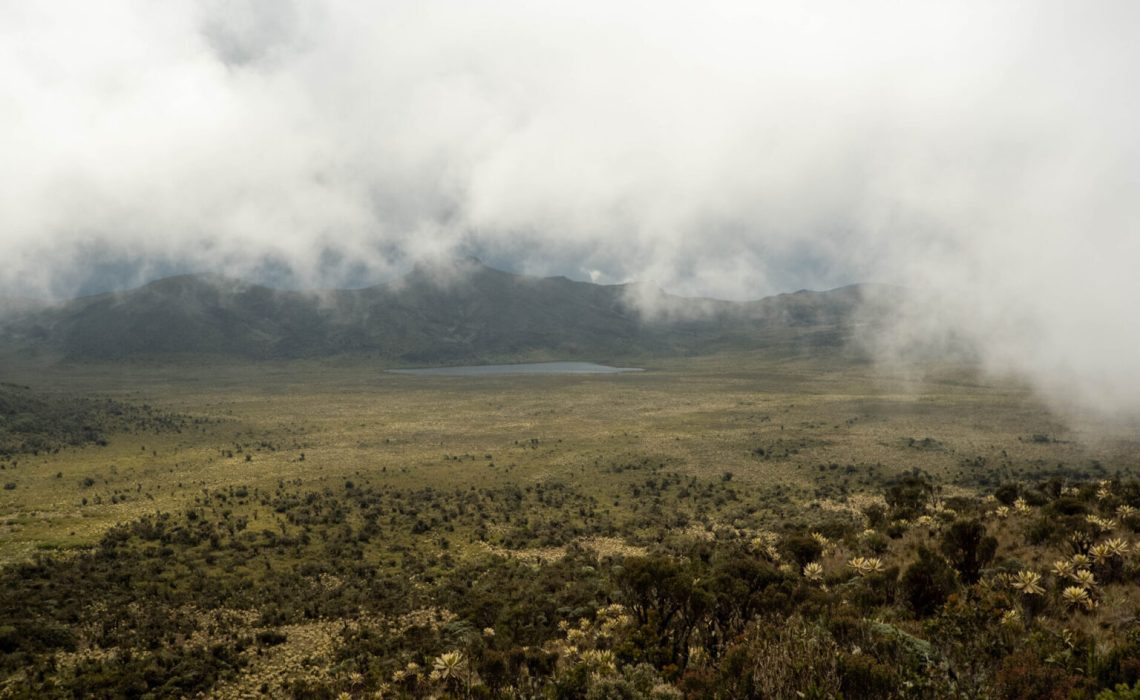 Laguna del Magdalena 5