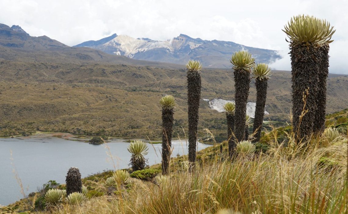 paramo Santa Isabel nevados glacier