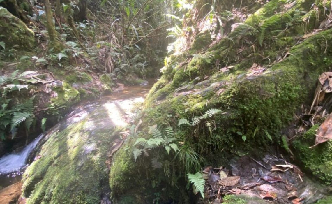 Crossing streams and natural bridges