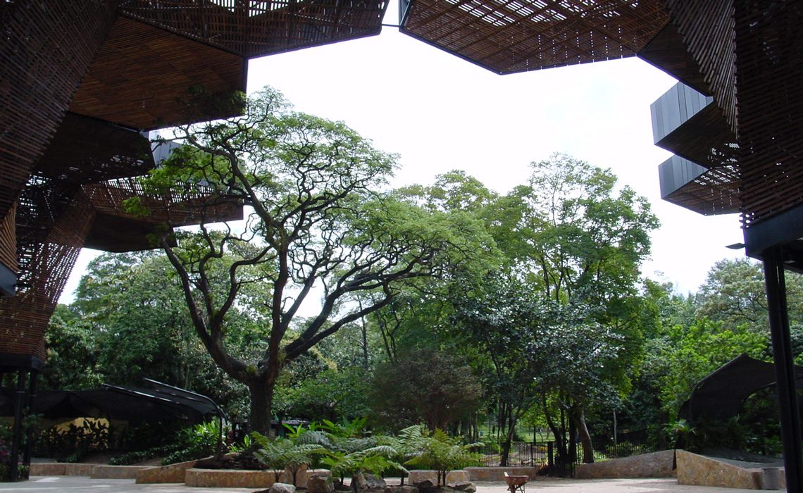 jardin botanico medellin