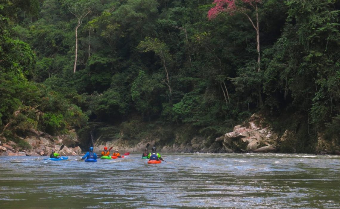 kayakers in flat water with jungle