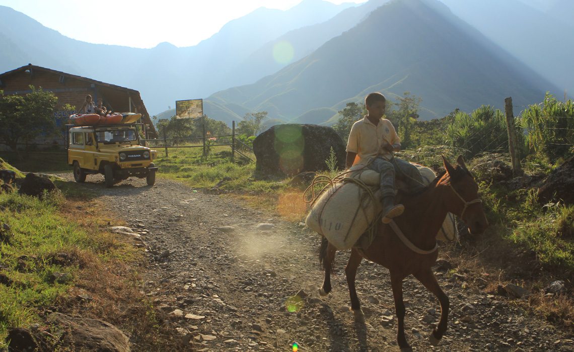 boy on horse with coffee and nissan patrol