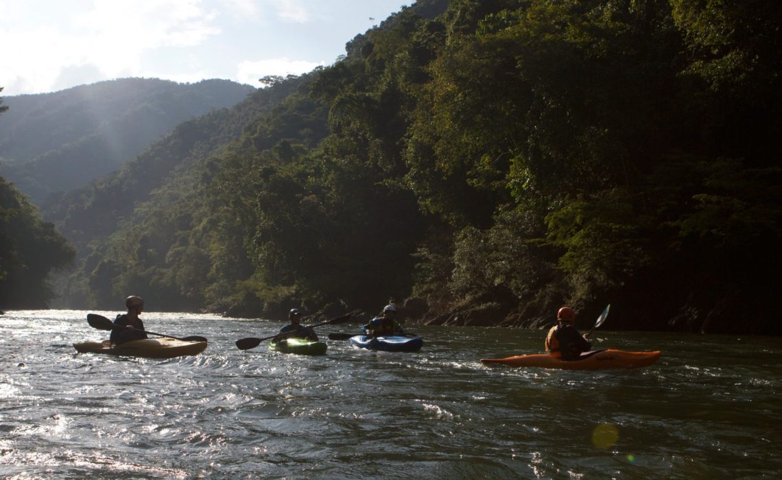 4 kayakers in the sun