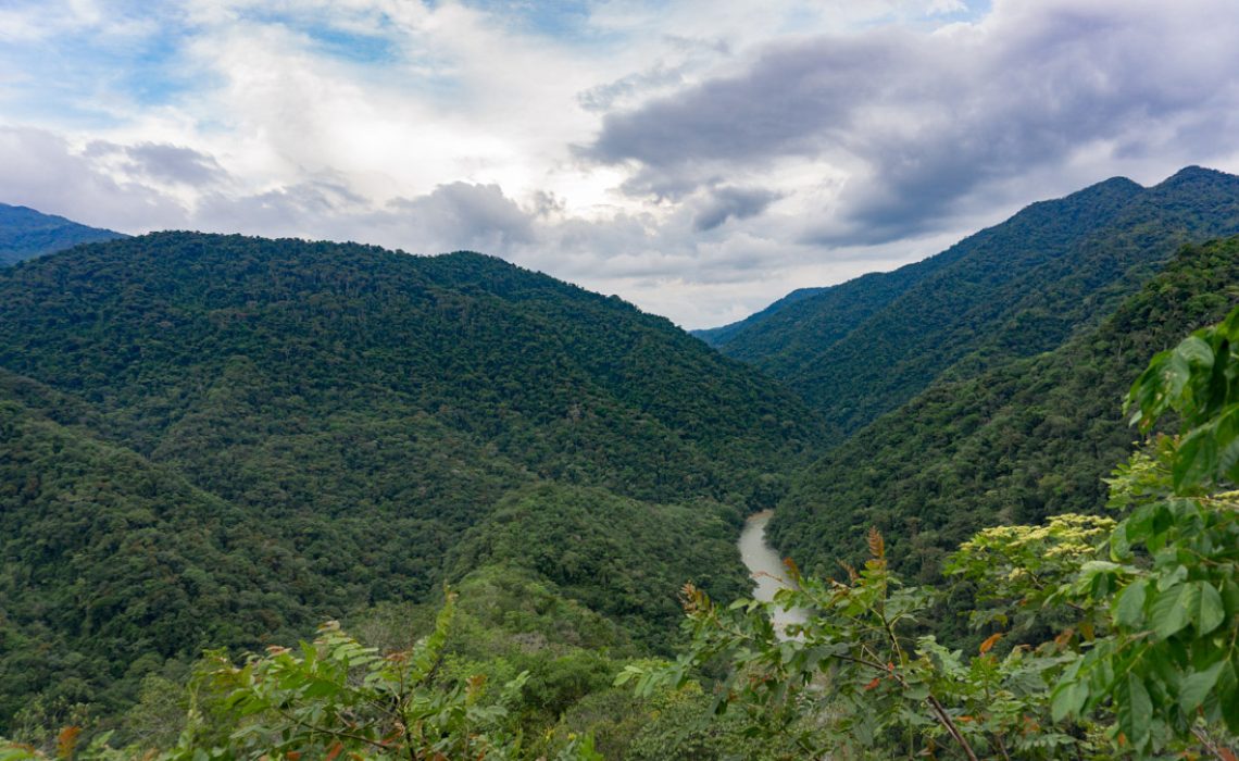 jungle mountains and river