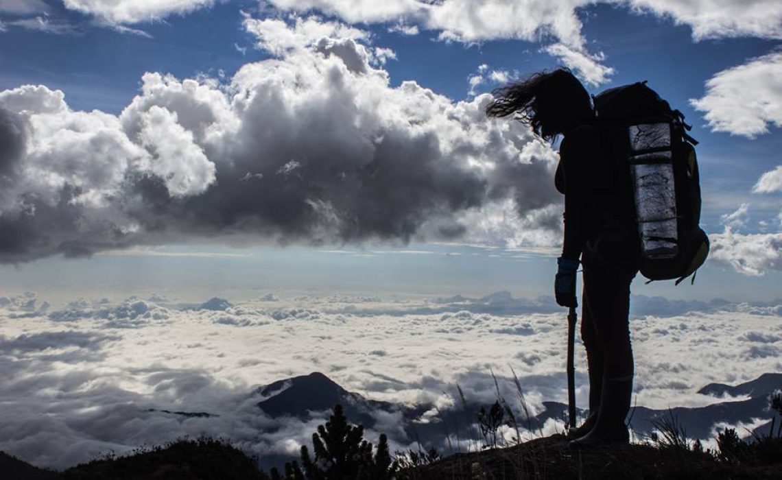cloud forest los nevados