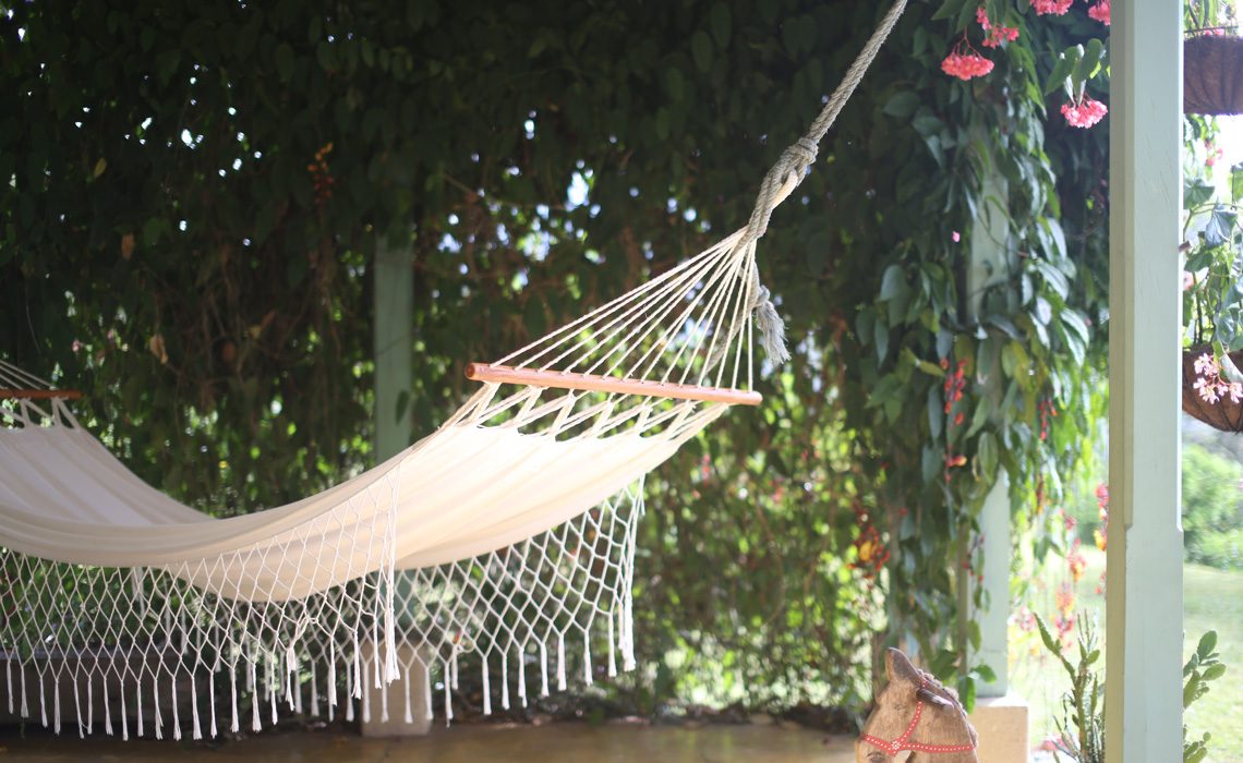 hammock fredonia coffee farm