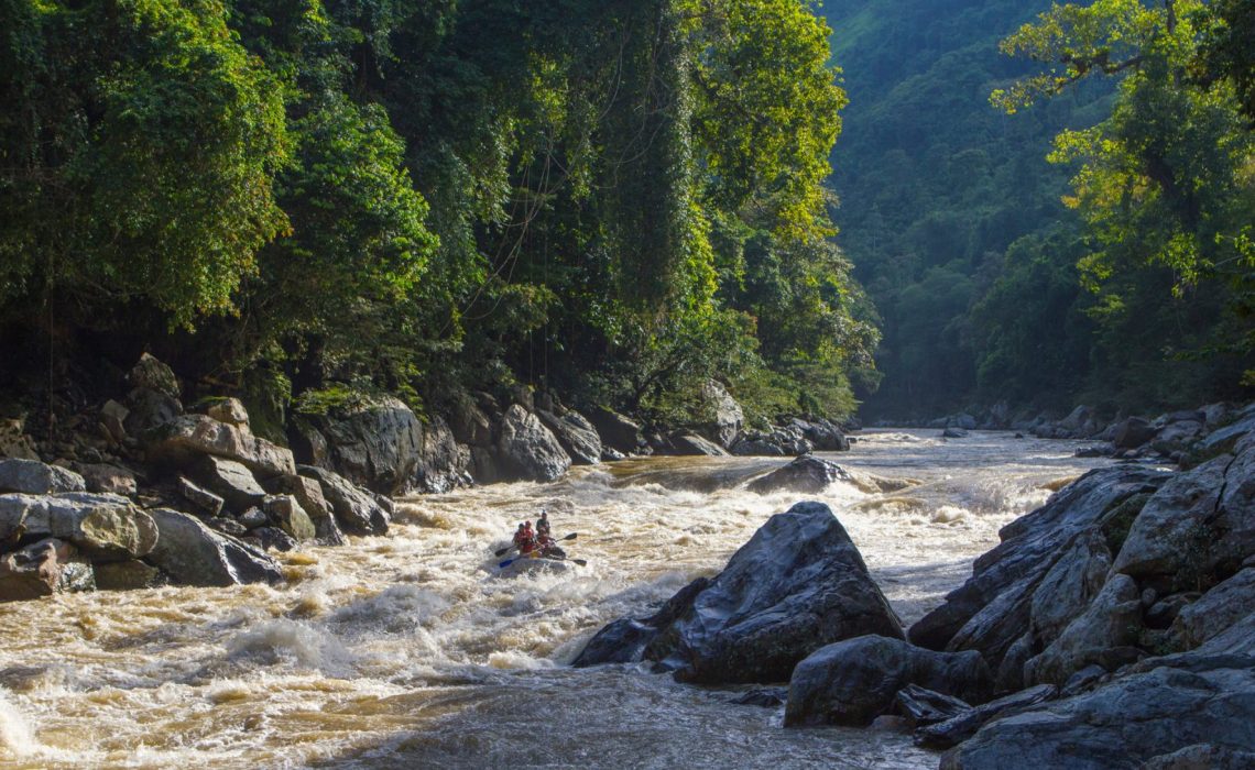 rafting rapids rio samana jungle