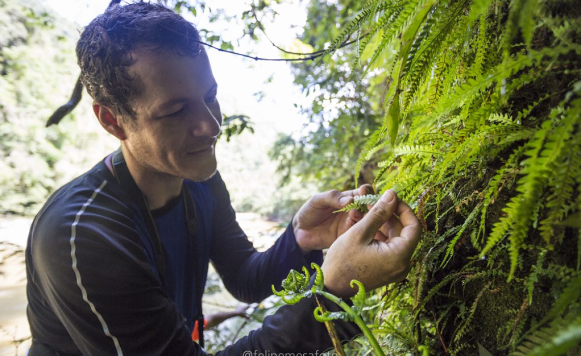 guide plants nature