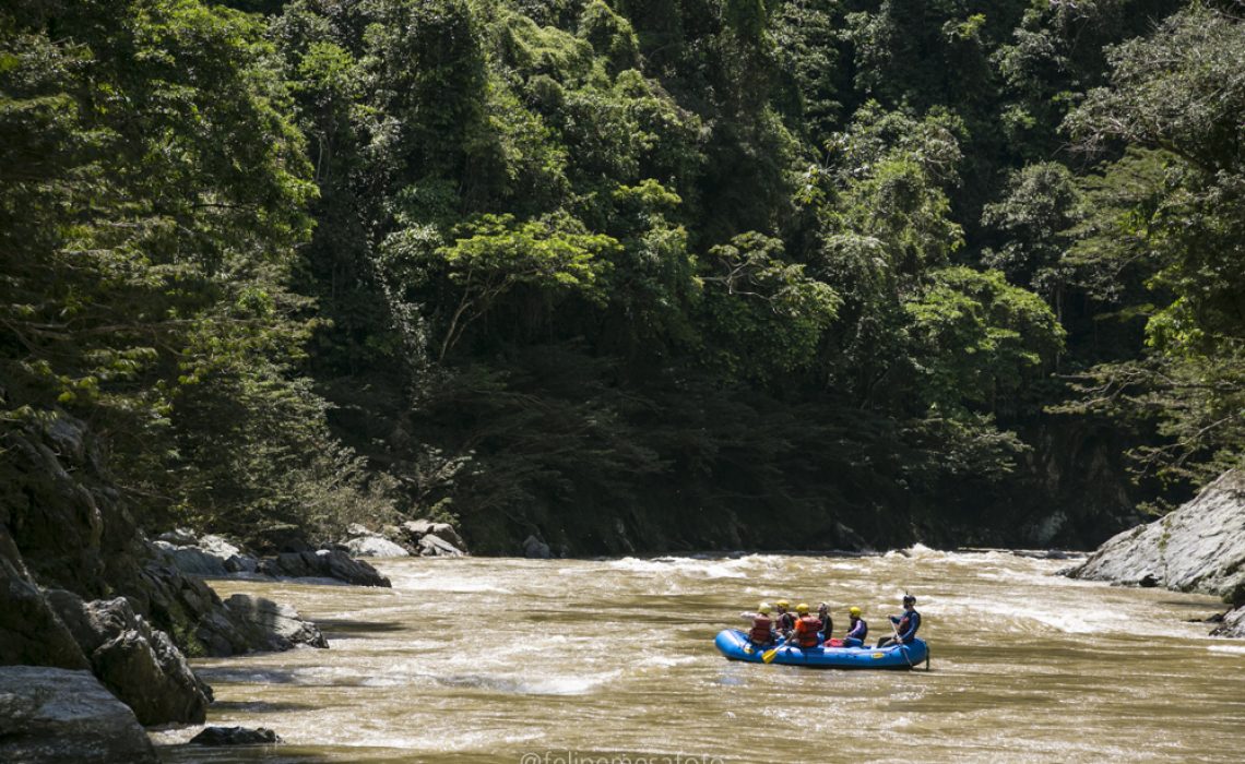 rafting forest jungle