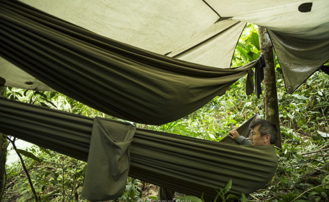 sheltered hammock rio samana jungle