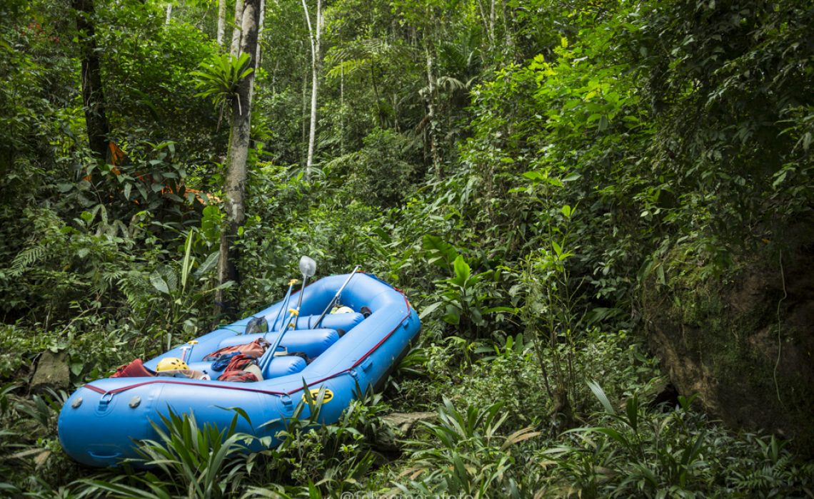 raft in the jungle blue green