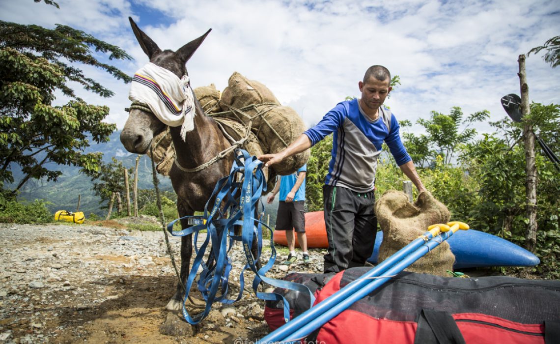 mule rafting farmer colombia