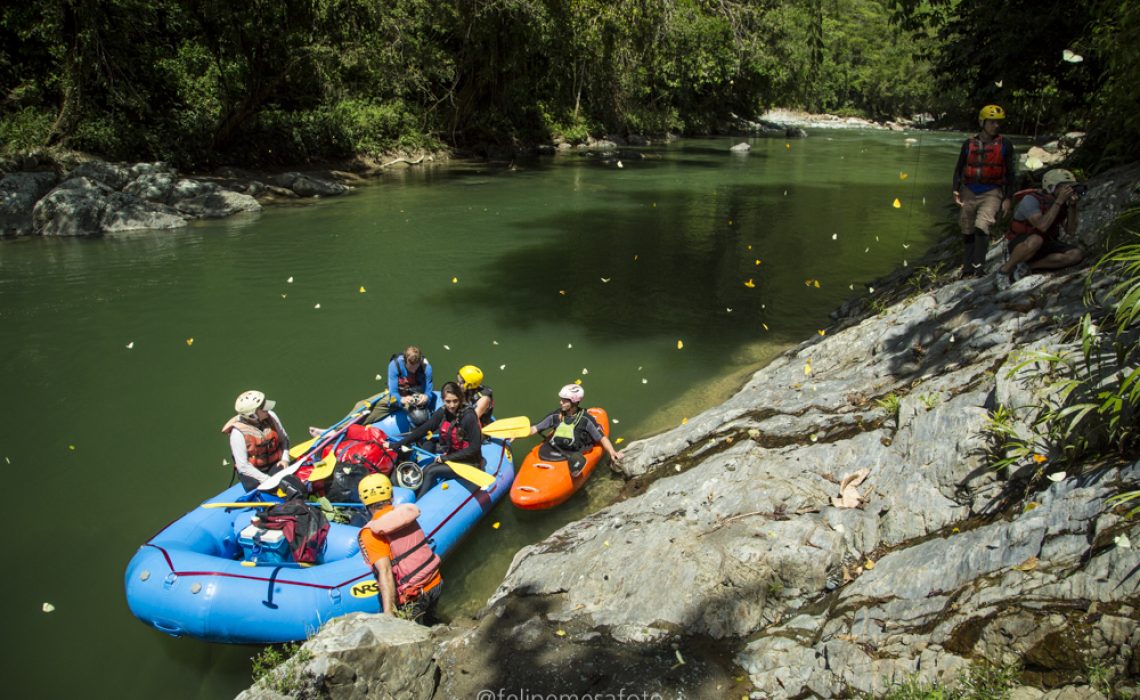 butterflies raft