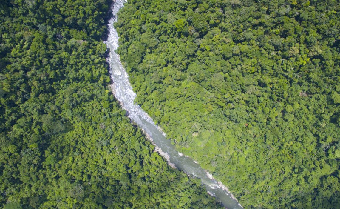 aerial view rio samana