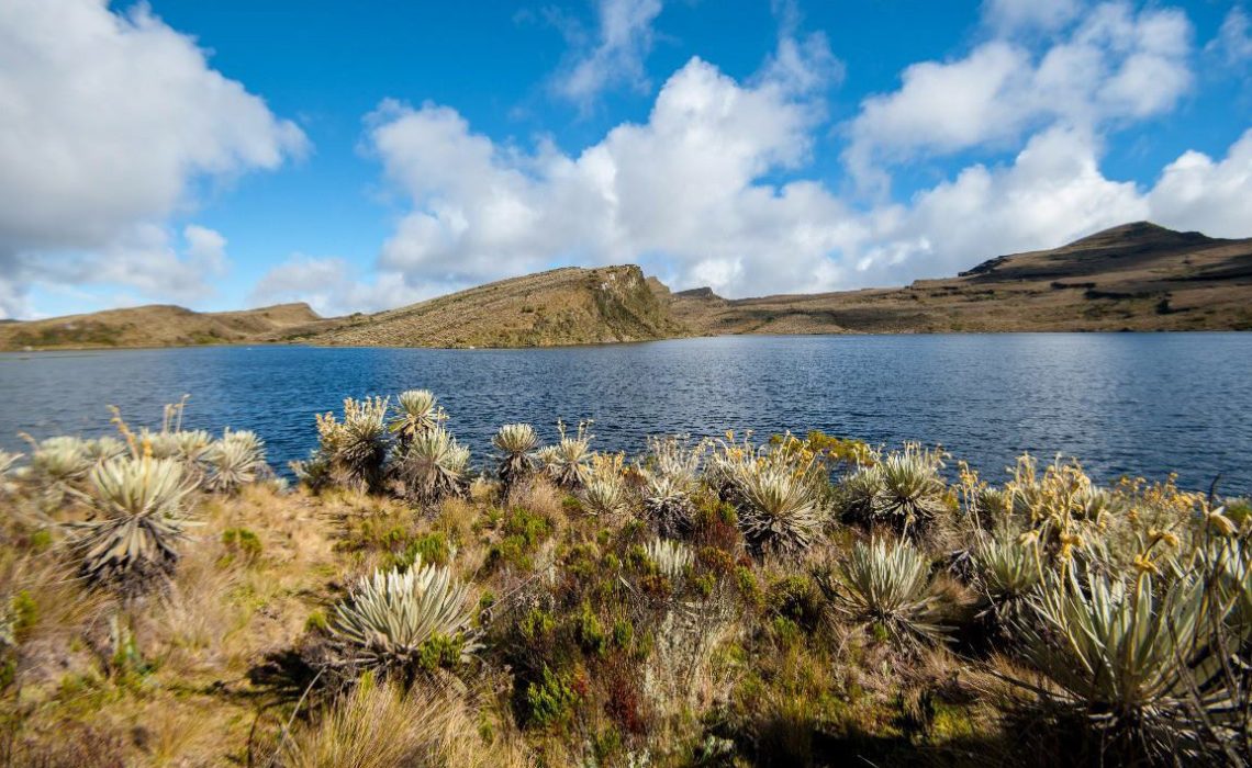 paramo lake