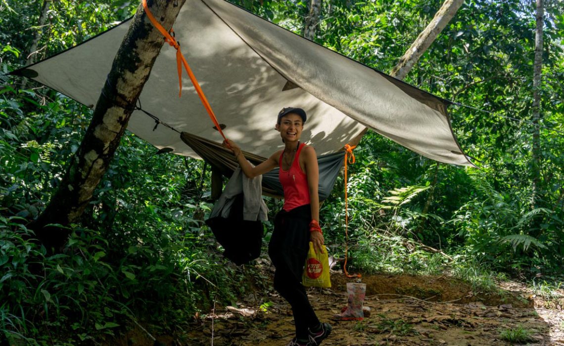 hammock jungle camp colombia