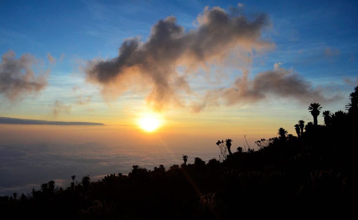 Sunset trekking coast