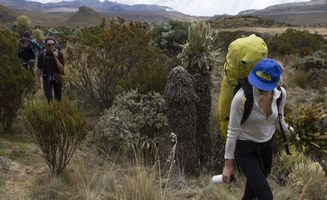 trek los nevados paramo colombia